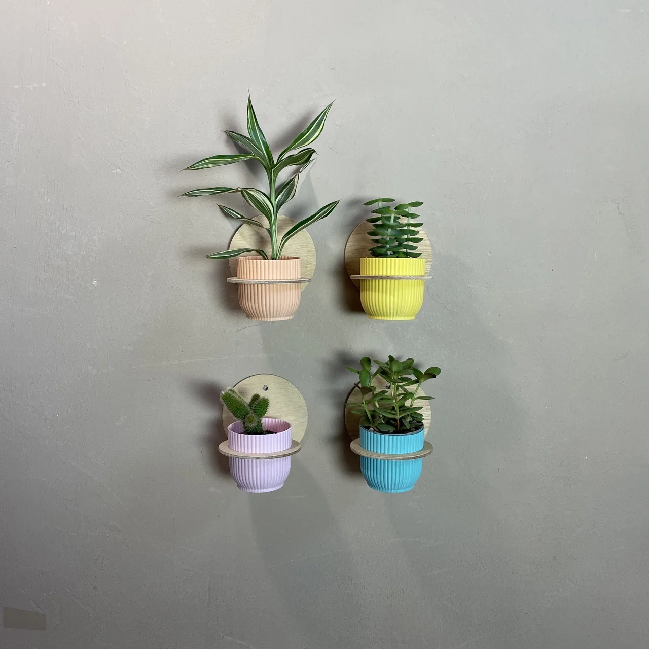 Quatre petits pots de plantes muraux imprimés en 3D, couleurs pastel